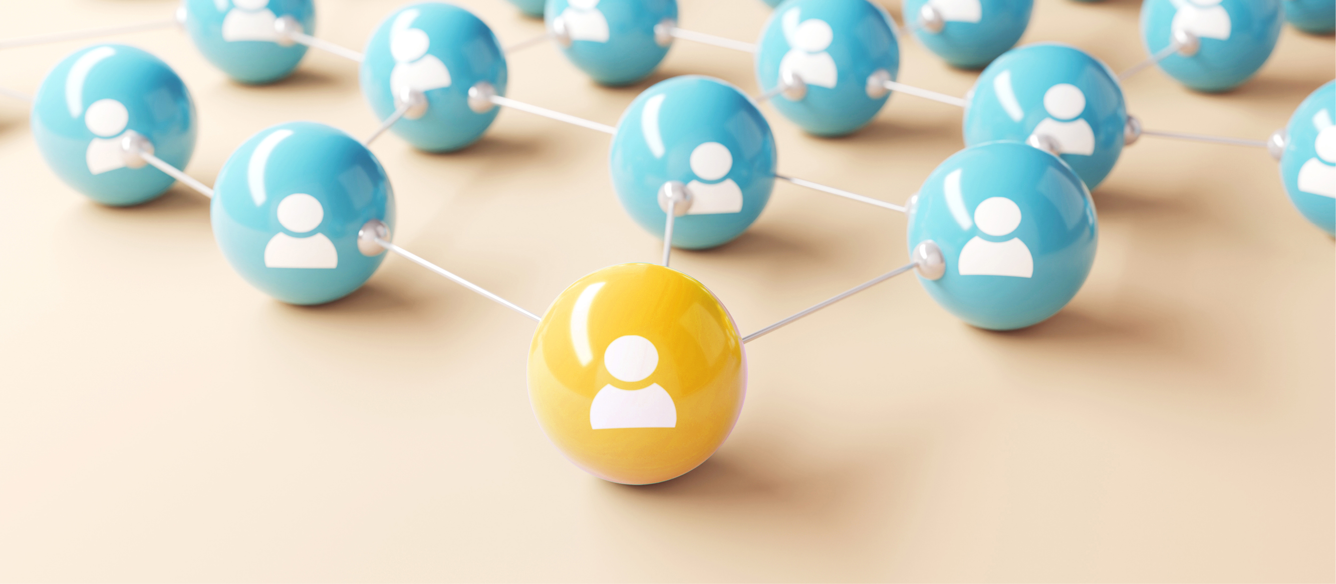 Could you be a charity trustee in the making?