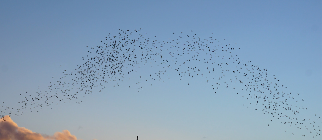 Starling Bank makes good use of its airtime