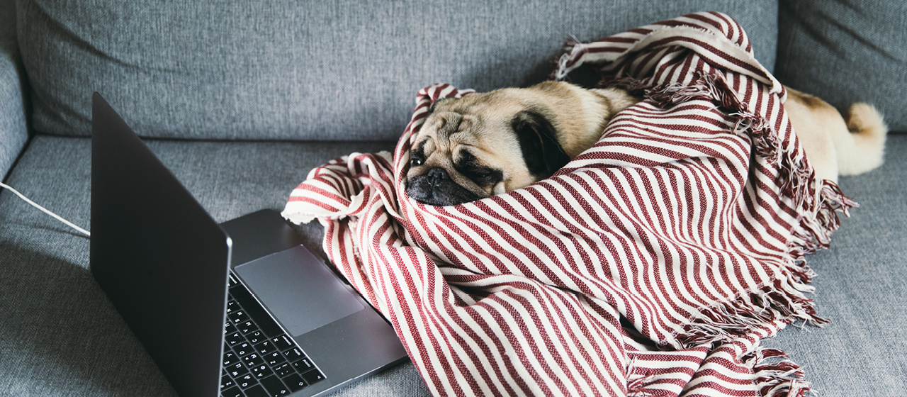 Six simple steps to overcome the working from home slump