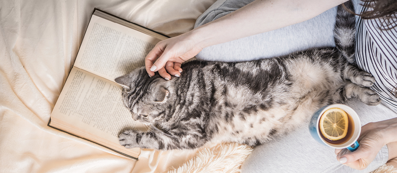 Marketing must-reads for summer 2020