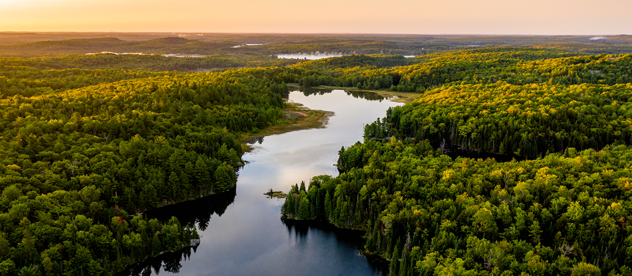 Shoppers should get the green light for conscientious consumption