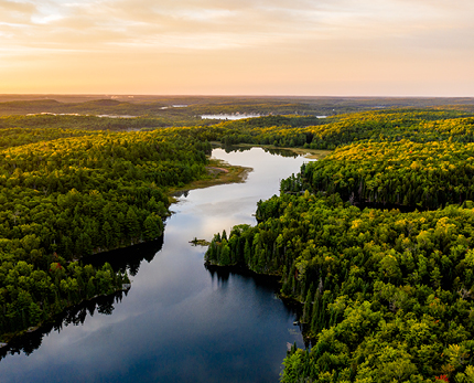 Shoppers should get the green light for conscientious consumption