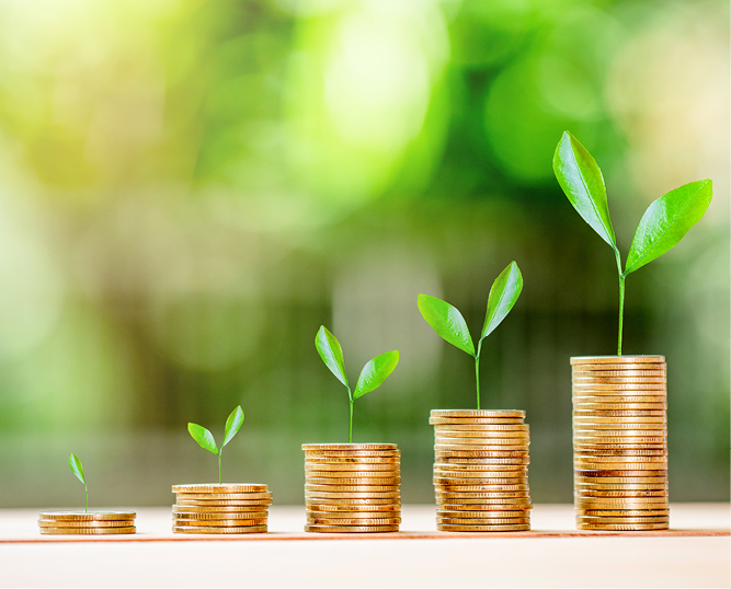 You don't need a big budget to make a big impact