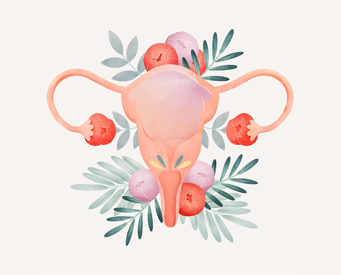 The brands finally addressing the menopause market